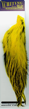 Whiting 1/2 CAPE Yellow