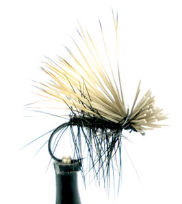 Yangoo BUCK CADDIS Black #14