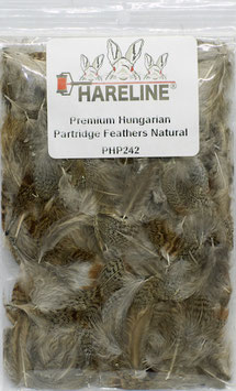 Hareline PREMIUM PARTRIDGE FEATHERS Natural PHP242