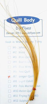 D's Flyes QUILL BODY #7 Ginger Quill