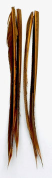 Wapsi TURKEY BIOTS Rusty Brown TQP051