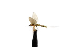 J:son MAYFLY SPENT 3 Cinnamon Brown