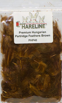 Hareline PREMIUM PARTRIDGE FEATHERS Brown PHP40