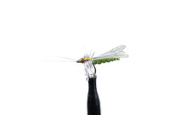 J:son CADDIS ADULT 3 Cinnamon Br. & Apple Green