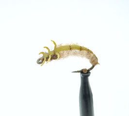 J:son CADDIS LARVA 1 Olive Brown