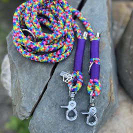 L 041 -  Leine "Rainbow"