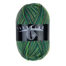 Trekking 6fach color, 150g Atelier Zitron