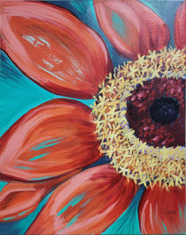 Pink Sunflower