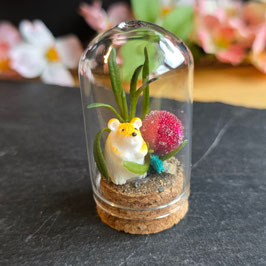 Mini Miniatur Hamster Beere