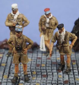 Officiers français à Bir Hakeim (x4) (R72428)