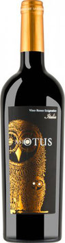 Asio Otus Vino Rosso Enigmatico Italia