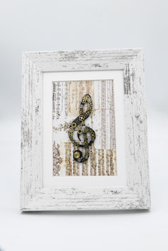 Quadro 2