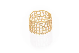 Ring&Gaatjes