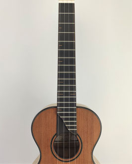 Tenor Sunrise "Walther" eingespielt