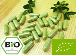 Bio Moringa Kapseln 500 mg - vegan - Rohkost Spitzen Qualität - ohne Zusatzstoffe - Kapseln in Arzneibuch Qualität