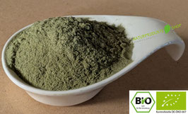 Bio Gerstengras Pulver naturrein in Rohkost Premium Qualität