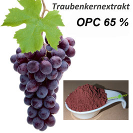 Traubenkernextrakt hochdosiert 65 % OPC