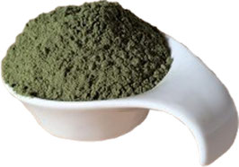 Bio Gerstengras Pulver naturrein in Rohkost Premium Qualität