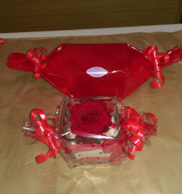 Rose eterna