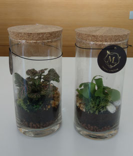 Terrarium H 20cm