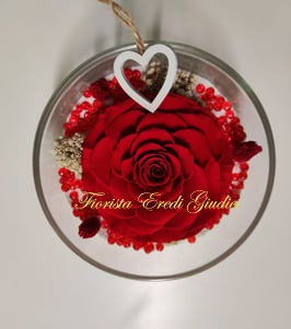 Rosa rossa eterna MISURA XXL