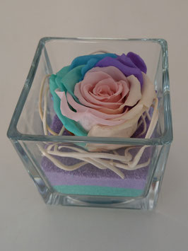 Rosa arcobaleno eterna cuore rosa