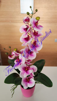 Orchidea Phalaenopsis 2 rami bianco-fucsia in seta con vaso in ceramica