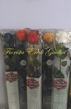 Rose eterne con gambo 56cm