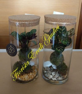 Kokedama in vetro (terrarium) H 26 CM