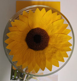 GIRASOLE eterno in cristallo XXL