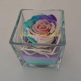 Rosa arcobaleno eterna cuore rosa