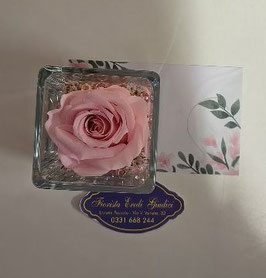 Rosa eterna rosa in cubo vetro 6x6cm