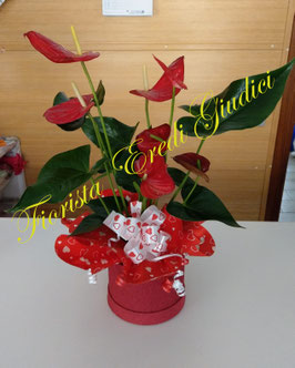 FLOWERBOX ROSSA con pianta di anthurium