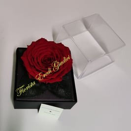 Rose eterna rossa con foglie in giftbox