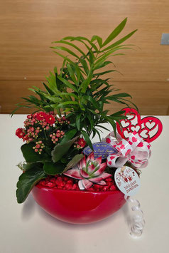 Composizione di piantine con vaso rosso in ceramica