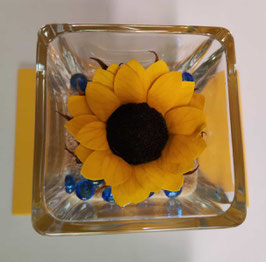 GIRASOLE eterno in cubo vetro 6x6cm