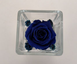 Rosa eterna blu in cubo vetro 5x5cm