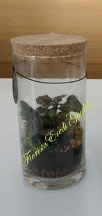 Terrarium H 20cm