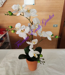 Orchidea Phalaenopsis 4 rami bianco in seta con vaso in cotto