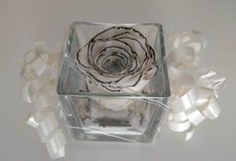 Rosa eterna bianca con bordi neri