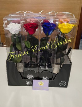 Rosa eterna con stelo