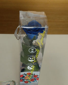 Rosa eterna blu