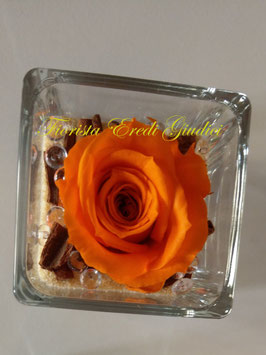 Rosa eterna arancio in cubo vetro 6x6cm