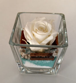 Rosa eterna bianca in cubo vetro 5x5cm