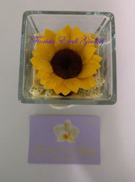 GIRASOLE eterno in cubo vetro 6x6cm