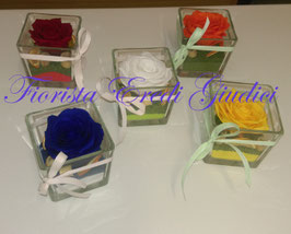 Rose eterne XL