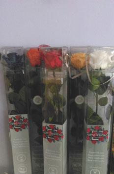 Rose eterne con gambo 56cm