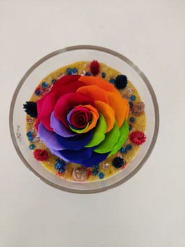 Rosa arcobaleno eterna MISURA XXL