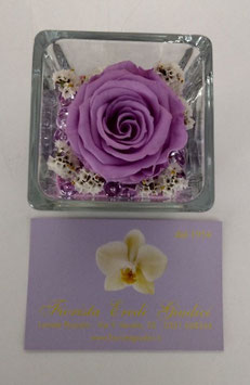 Rosa eterna lilla in cubo vetro 6x6cm