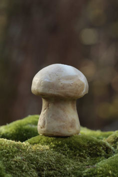 Champignon